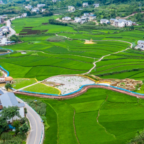 中農發種業集團股份有限公司.jpg